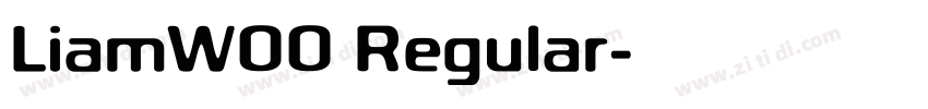 LiamW00 Regular字体转换